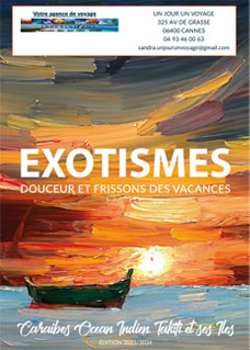 1j1v-Fond-Exotismes-Brochure.jpg