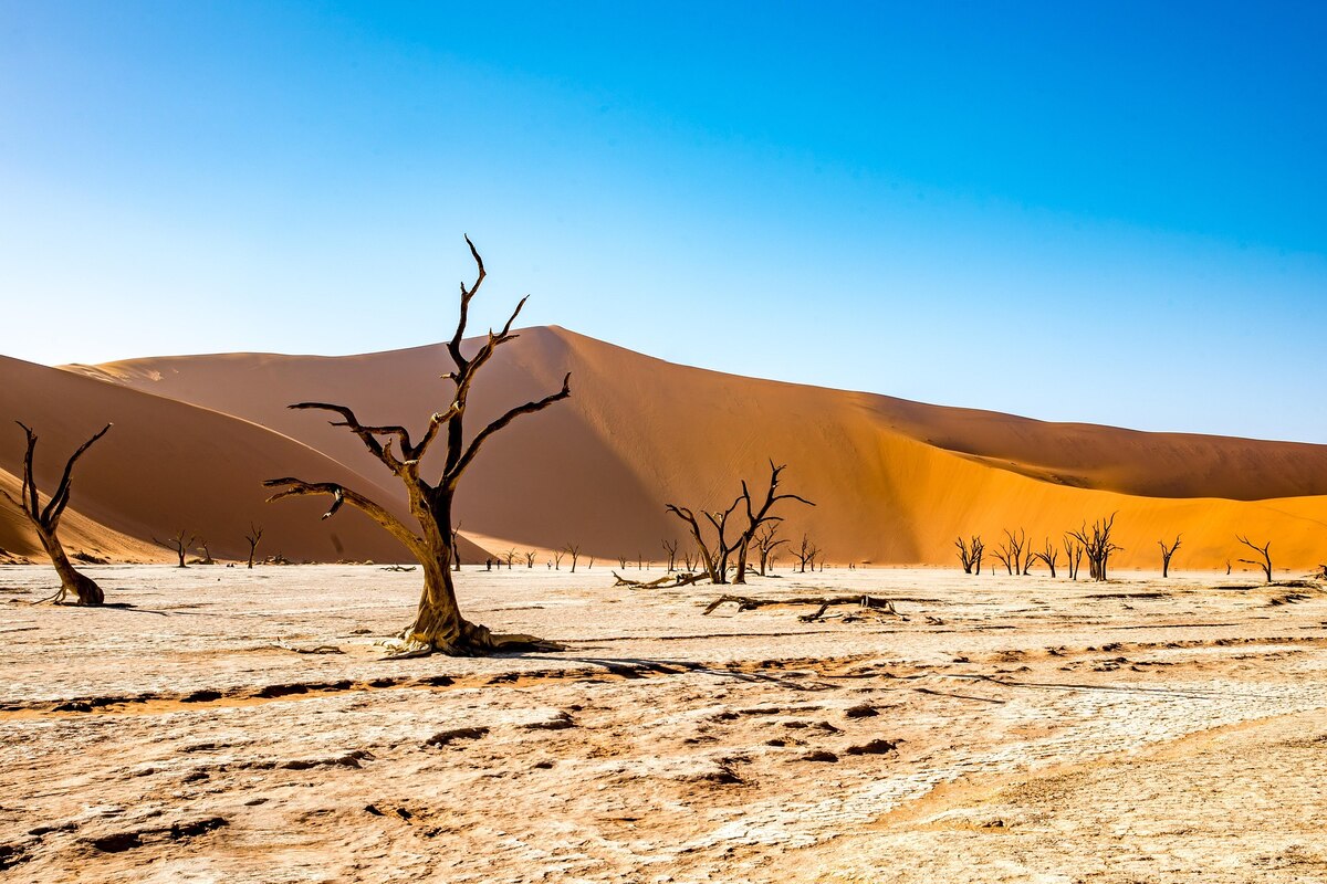 namibia-4790487_1920_(1).jpg