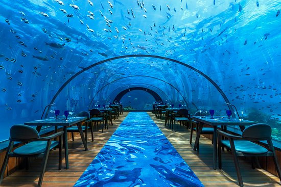 hurawalhi_island_resort_maldives_3.jpg