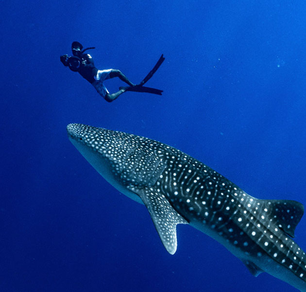 Bandos_Maldives.jpg
