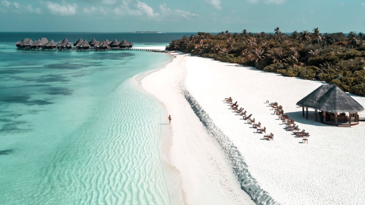 coco_palm_dhuni_kolhu_1.jpg