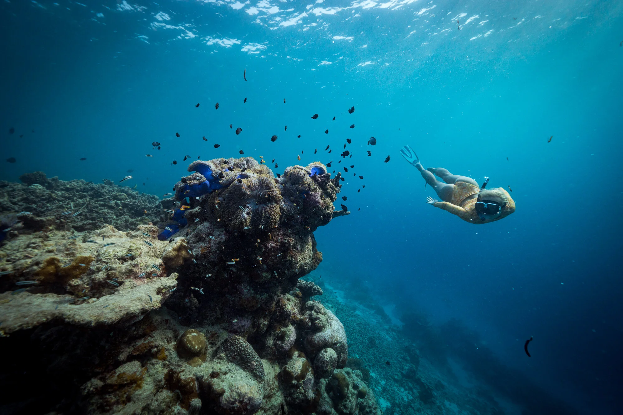 Ayada_Maldives_1.webp
