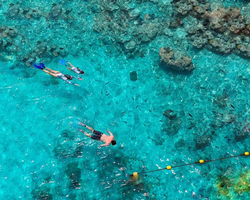 1Kuramathi _Maldives_1.webp