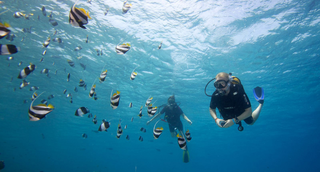 diving-maldives-hurawalhi-prodivers-1600x900-large.jpg