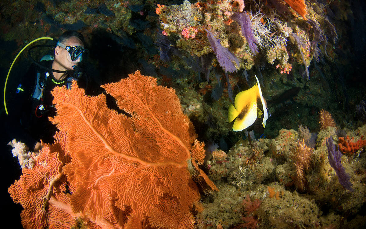 diamonds_athuruga_diving_02.jpg